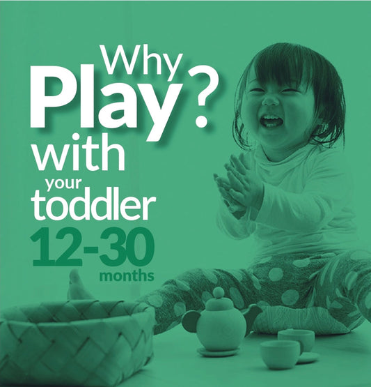 Why Play? with Your Toddler (12-30 months)