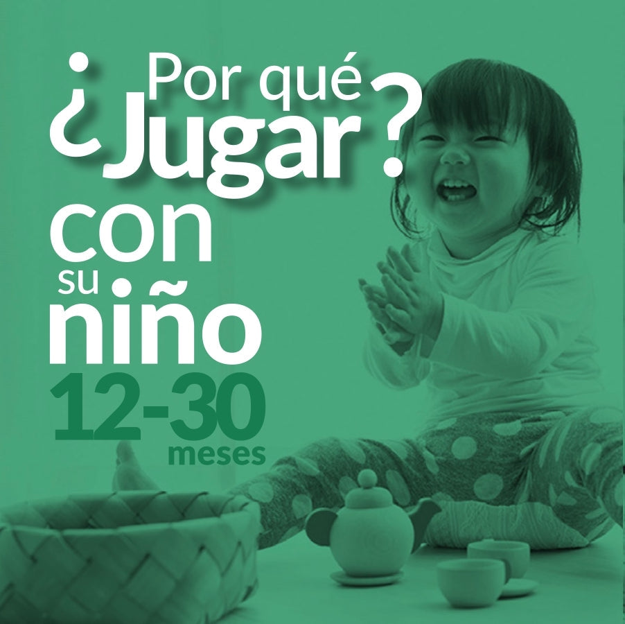 Why Play? with Your Toddler (12-30 months)