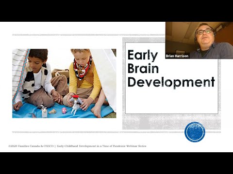 Early Childhood Development in a Time of Pandemic: Brain Development